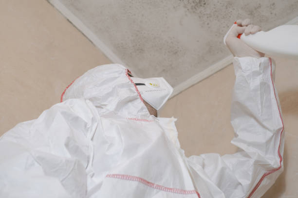 Best Residential Mold Removal  in Dell Rapids, SD