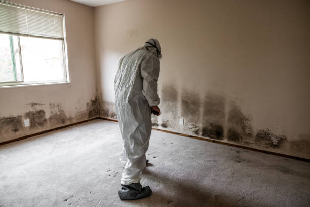 Crawl Space Mold Removal in Dell Rapids, SD